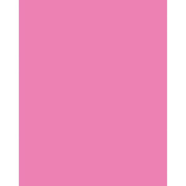 Ucreate Neon Coated Poster Board, Neon Pink, 22in x 28in, PK25 P5407-1